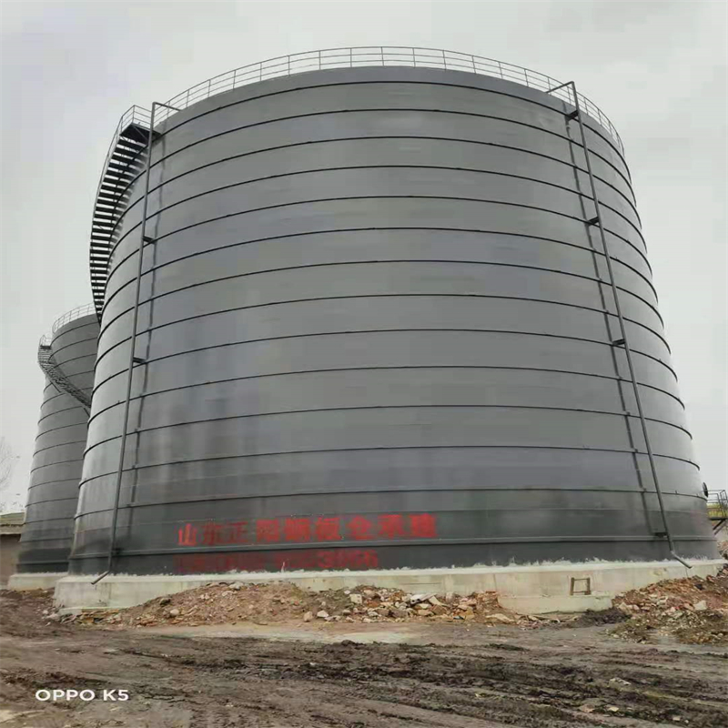 都昌3万吨大型钢板库