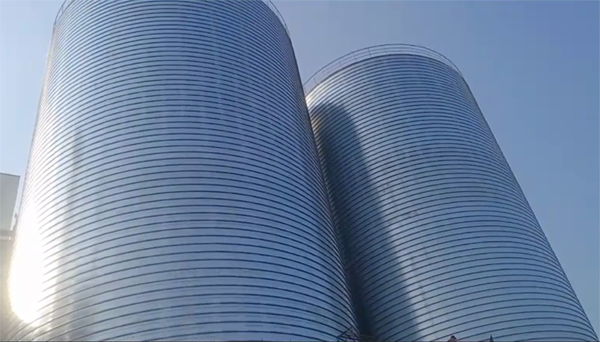 都昌2座混凝土高架卷板仓